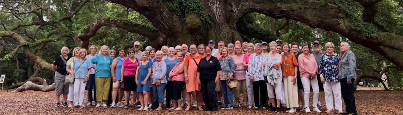 Destinations Group picture under the Angel Tree in Savannah, GA
